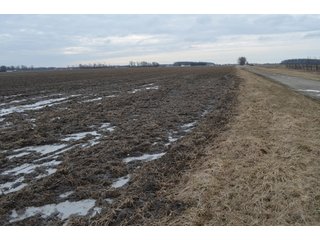 Property photo 27 - 173 +/- Acres Offered in 3 Tracts - Ohio Farmland